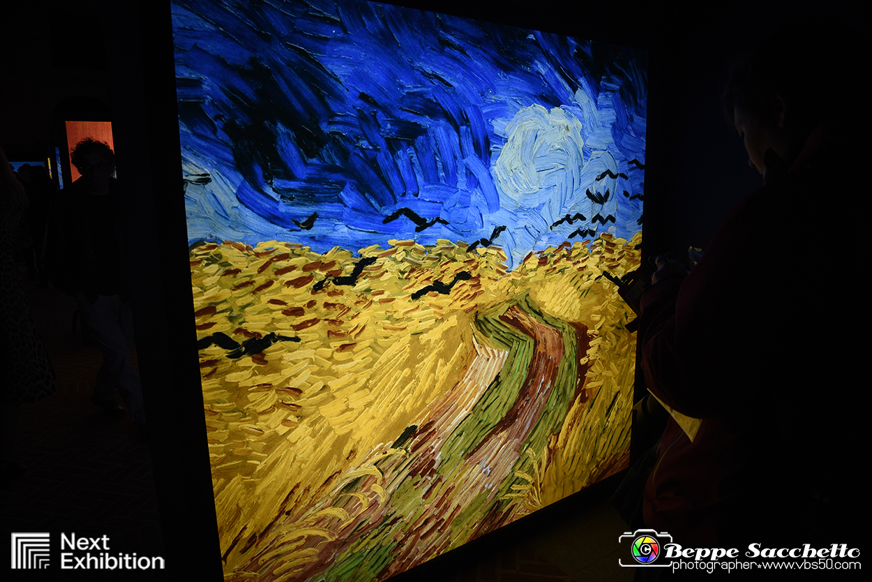 VBS_8062 - Van_Gogh_experience.jpg